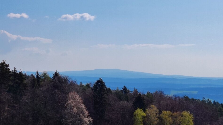 Hiking route Beistein circuit, Grafendorf - Touren-Impression #2.6 | © Oststeiermark Tourismus