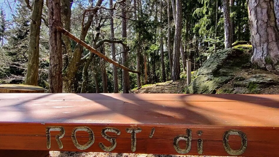 Hiking route Beistein circuit, Grafendorf - Touren-Impression #2.8 | © Oststeiermark Tourismus