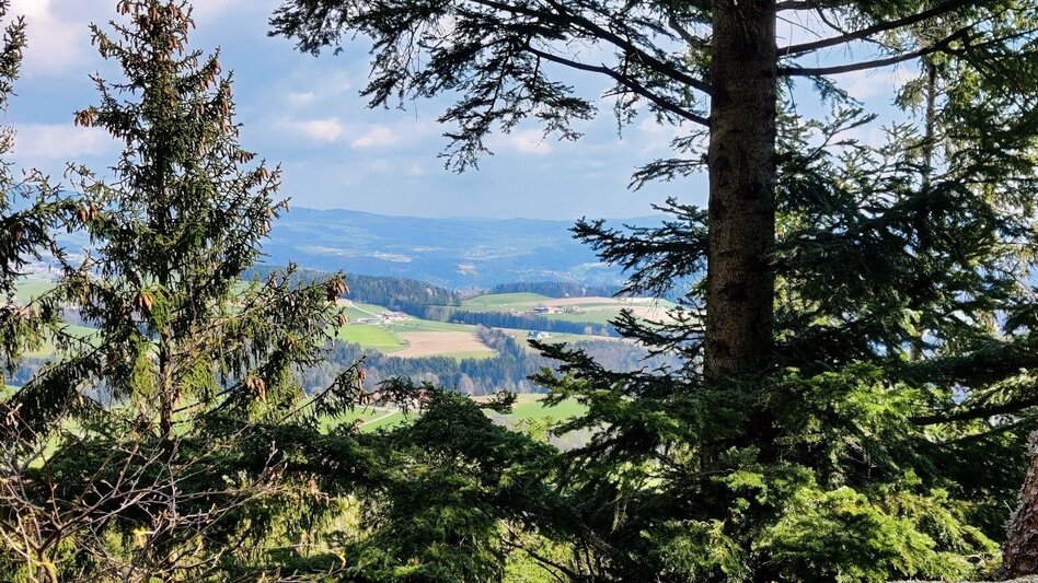 Hiking route Beistein circuit, Grafendorf - Touren-Impression #2.11 | © Oststeiermark Tourismus