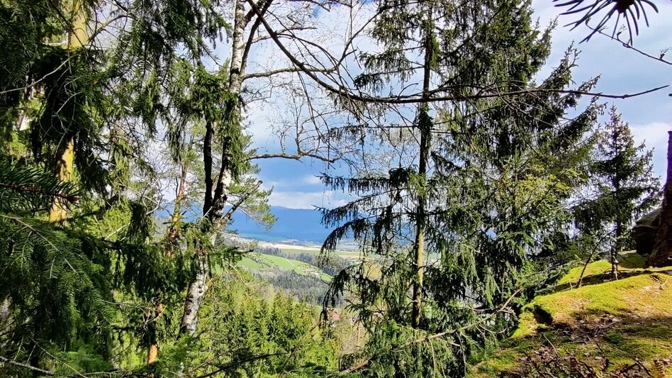 Hiking route Beistein circuit, Grafendorf - Touren-Impression #2.12 | © Oststeiermark Tourismus