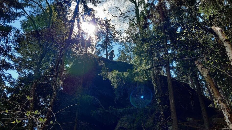 Hiking route Beistein circuit, Grafendorf - Touren-Impression #2.13 | © Oststeiermark Tourismus