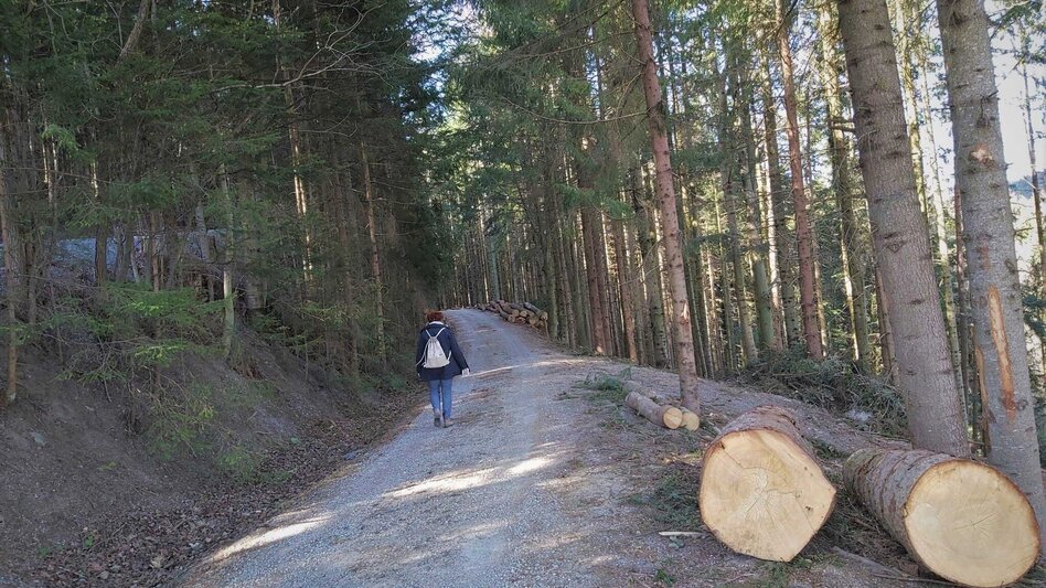 Hiking route Pilgrimage Route Passail - Touren-Impression #2.4 | © Oststeiermark Tourismus