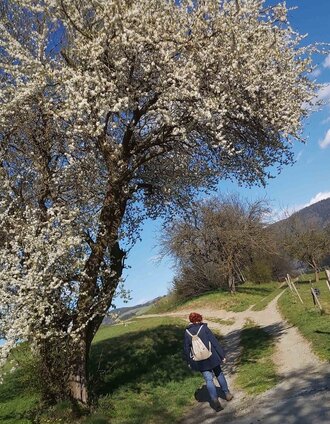 Weg in Krammersdorf | Christine Pollhammer | © Oststeiermark Tourismus