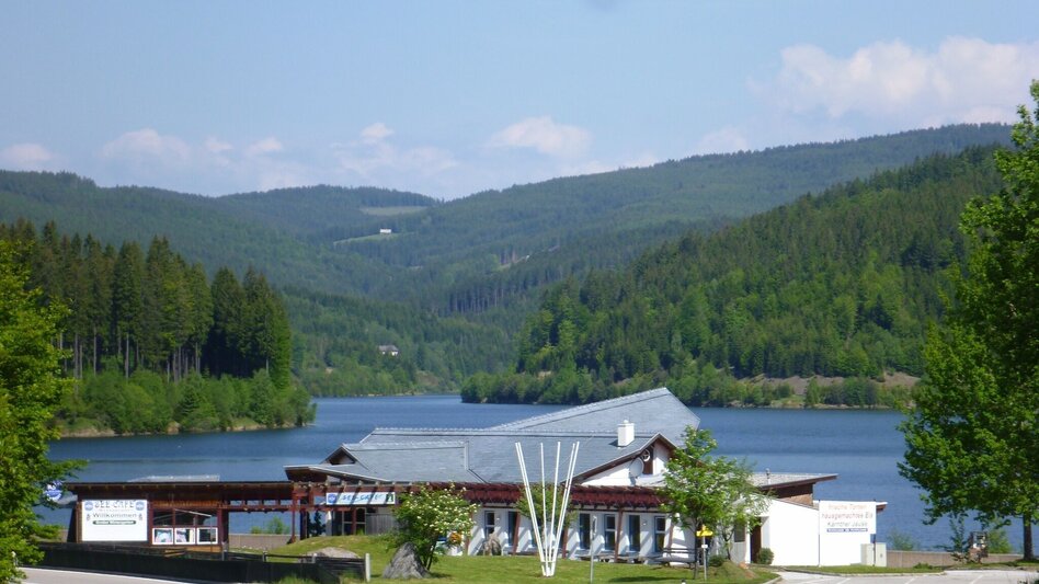Mountain Biking Soboth Reservoir - Dreickalm - Touren-Impression #2.4 | © KSL Tourismus Marketing GmbH