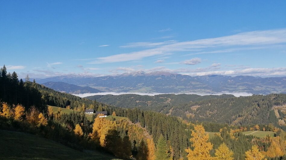 Mountain Biking Tour 67b - MTB - Hofer-Alm - trail included - Touren-Impression #2.2 | © Erlebnisregion Murtal