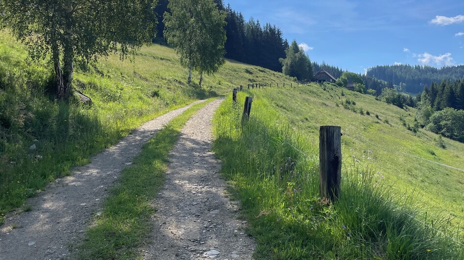Mountain Biking Tour 67b - MTB - Hofer-Alm - trail included - Touren-Impression #2.5 | © Erlebnisregion Murtal