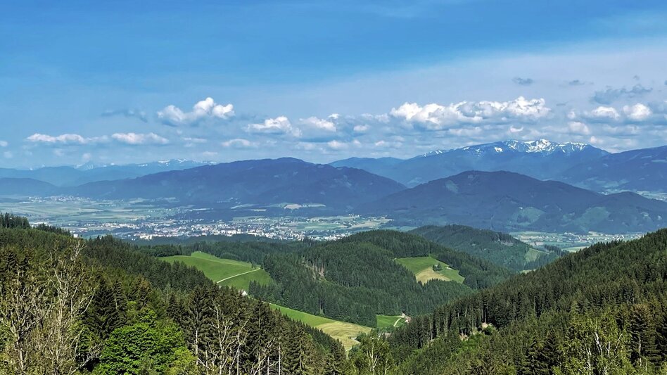 Mountain Biking Tour 67b - MTB - Hofer-Alm - trail included - Touren-Impression #2.6 | © Erlebnisregion Murtal
