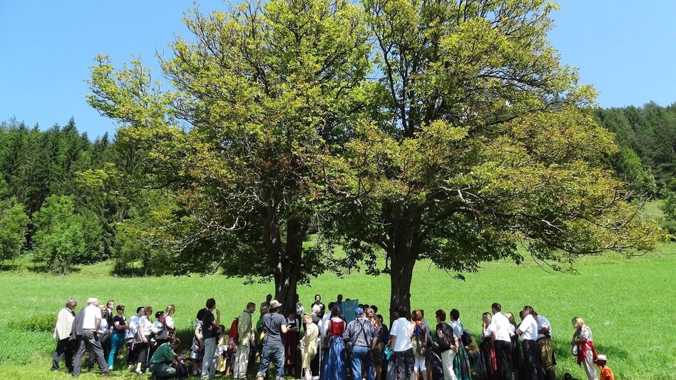 Theme path The Neuberger Literary Trail in the Mürzer Oberland Nature Park - Touren-Impression #2.4 | © Naturpark Mürzer Oberland