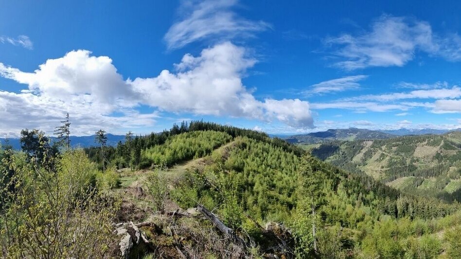 Hiking route Kindberger Almentour - Touren-Impression #2.2 | © TV Hochsteiermark