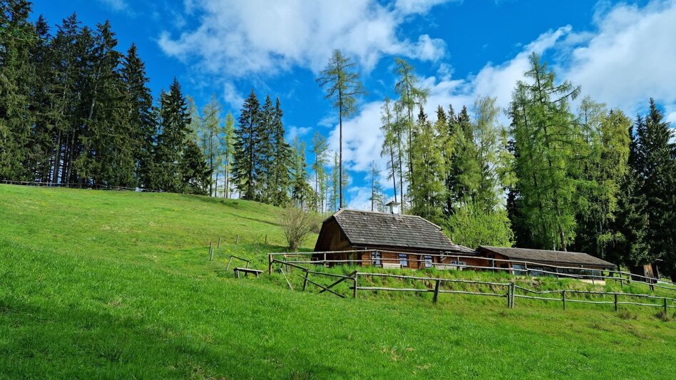 Hiking route Kindberger Almentour - Touren-Impression #2.4 | © TV Hochsteiermark