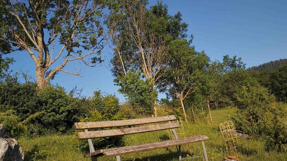 Bike Riding Schöcklblick Tour, Passail - Touren-Impression #2.6 | © Oststeiermark Tourismus