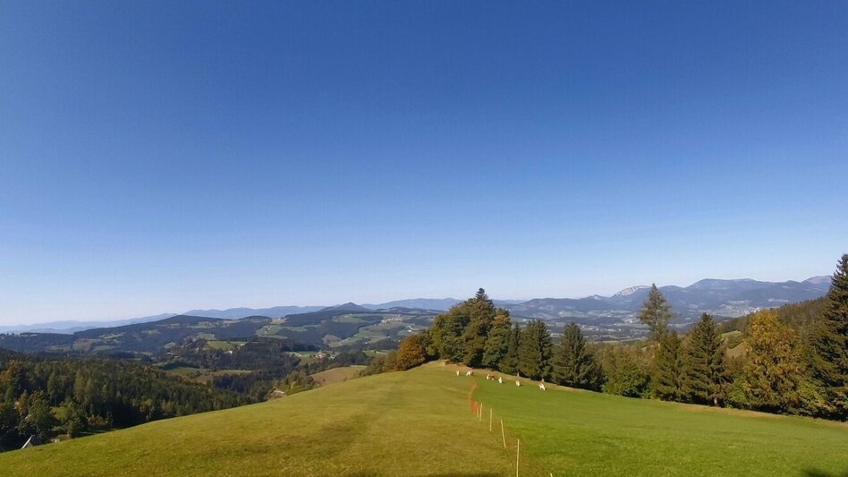 Bike Riding Schöcklblick Tour, Passail - Touren-Impression #2.10 | © Oststeiermark Tourismus