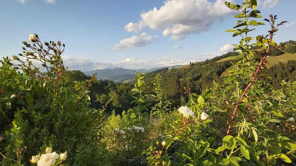 Bike Riding Schöcklblick Tour, Passail - Touren-Impression #2.12 | © Oststeiermark Tourismus