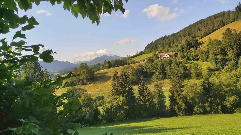 Bike Riding Schöcklblick Tour, Passail - Touren-Impression #2.5 | © Oststeiermark Tourismus