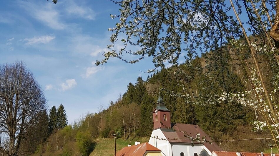 Bike Riding Schöcklblick Tour, Passail - Touren-Impression #2.3 | © Oststeiermark Tourismus