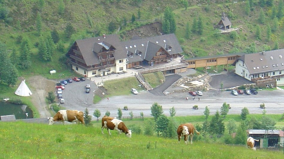Wanderung Geführte Almkräuterwanderung zum Bergsee am Salzstiegl - Touren-Impression #2.3 | © Kaltenegger Friedrich