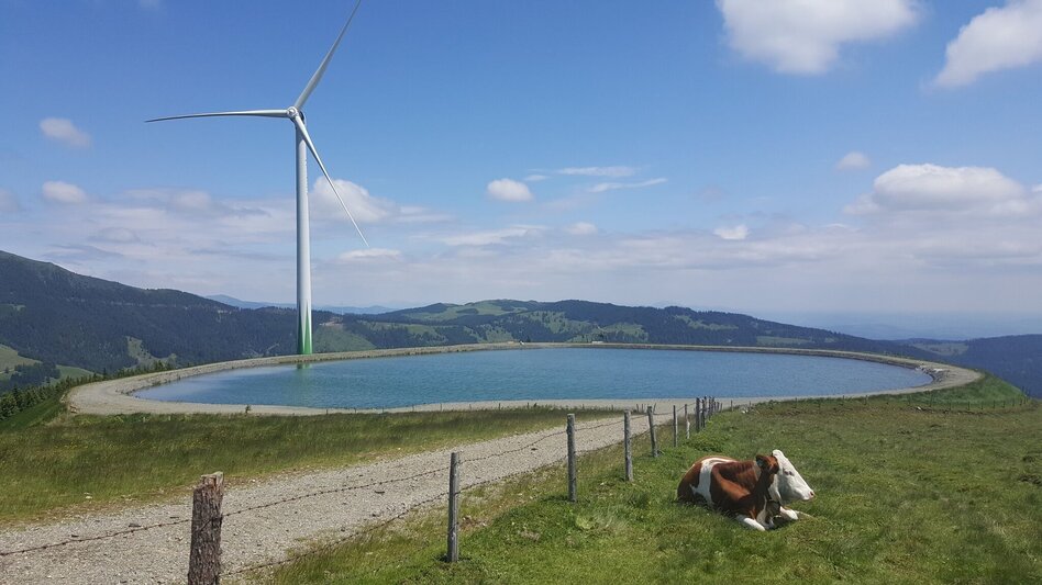 Wanderung Geführte Almkräuterwanderung zum Bergsee am Salzstiegl - Touren-Impression #2.5 | © TV Steirische Rucksackdörfer