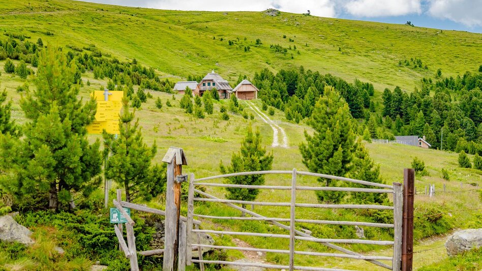 Hiking route From the Waldheim hut to the Stoana hut and Wildsee lake - Touren-Impression #2.3 | © Erlebnisregion Murtal