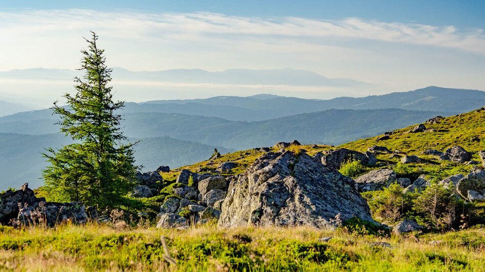 Hiking route From the Waldheim hut to the Stoana hut and Wildsee lake - Touren-Impression #2.9 | © Erlebnisregion Murtal