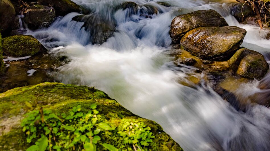 Wasserwege Naturdenkmal Granitzenbach nach St. Wolfgang - Touren-Impression #2.4 | © Erlebnisregion Murtal