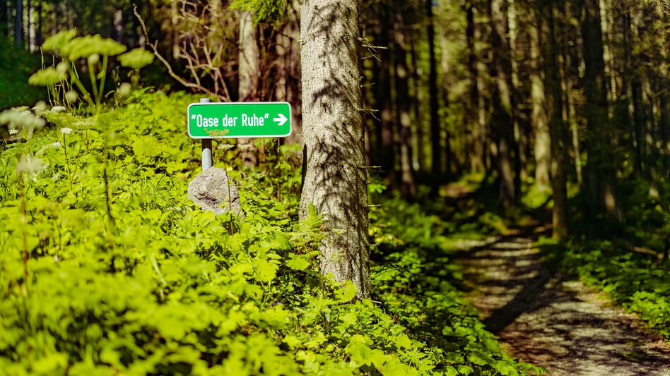 Regional hiking trail Granitzenbach natural monument to the Sabathyalm - Touren-Impression #2.3 | © Erlebnisregion Murtal