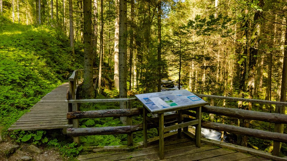 Regional hiking trail Granitzenbach natural monument to the Sabathyalm - Touren-Impression #2.6 | © Erlebnisregion Murtal