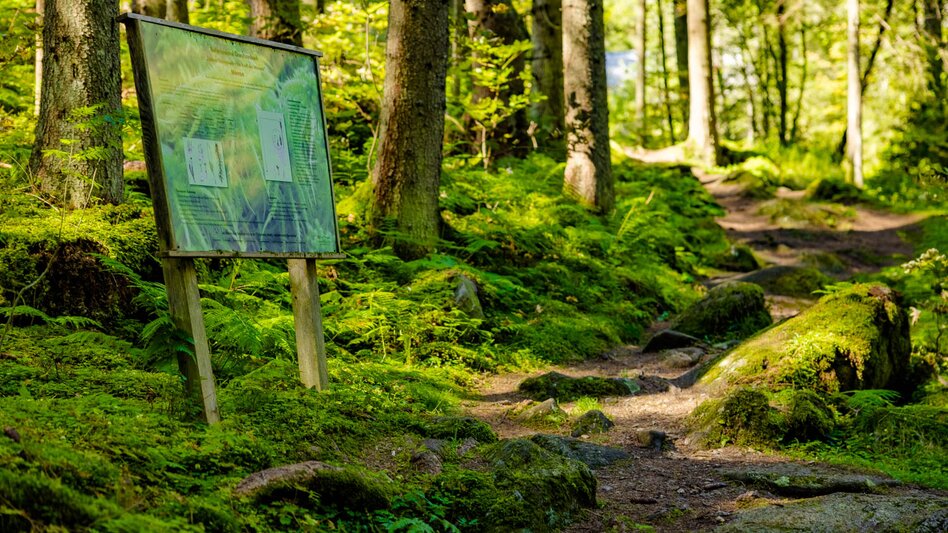 Regional hiking trail Granitzenbach natural monument to the Sabathyalm - Touren-Impression #2.10 | © Erlebnisregion Murtal