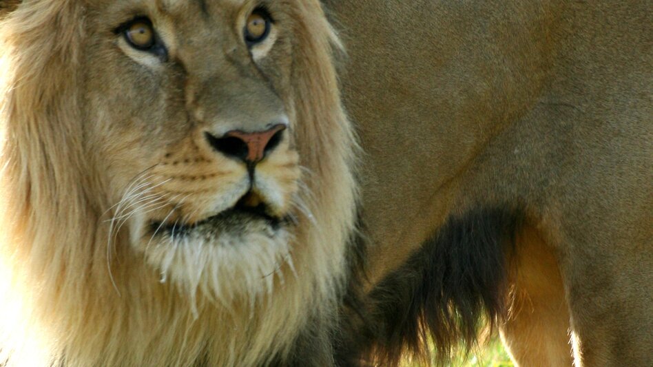 Bike Riding Cycle tour Stubenbergsee via Pöllau, Muhr Pöllauberg - Touren-Impression #2.7 | © Oststeiermark Tourismus