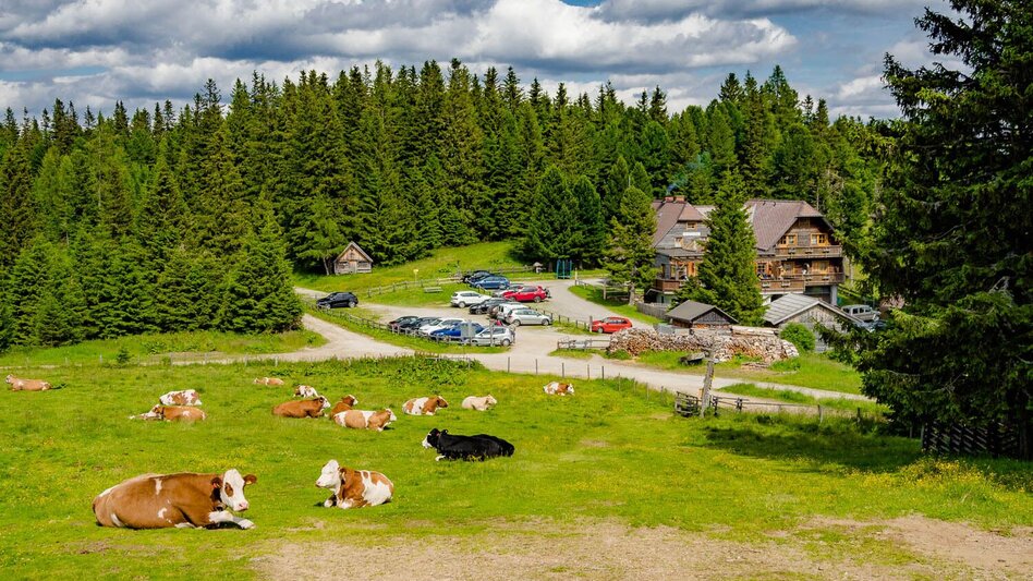 Hiking route Alpine hut round - Touren-Impression #2.1 | © Erlebnisregion Murtal