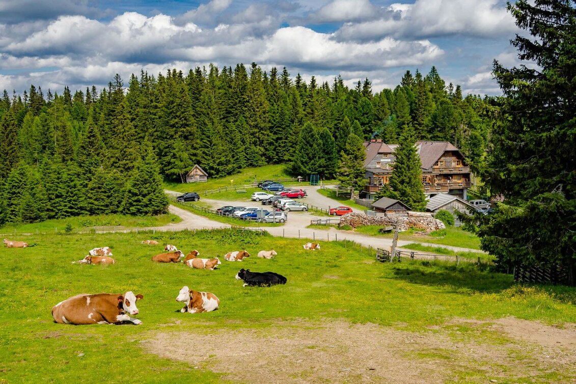 Hiking route Alpine hut round - Touren-Impression #1 | © Erlebnisregion Murtal