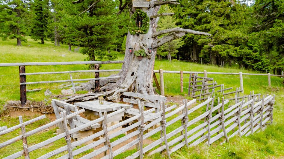Hiking route Alpine hut round - Touren-Impression #2.2 | © Erlebnisregion Murtal