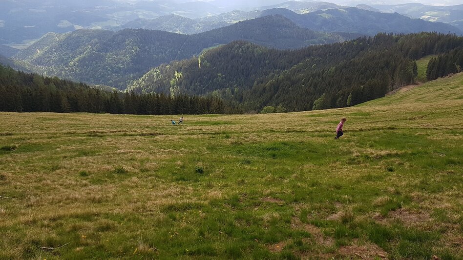Wanderung Vom Krautwasch zum Gleinalm Schutzhaus - Touren-Impression #2.3 | © Region Graz