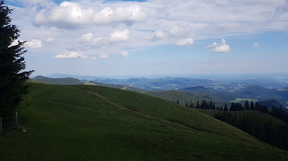 Wanderung Vom Krautwasch zum Gleinalm Schutzhaus - Touren-Impression #2.5 | © Region Graz
