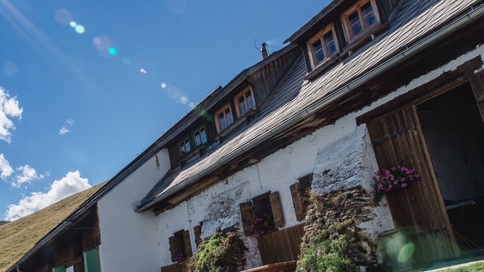 Wanderung Vom Krautwasch zum Gleinalm Schutzhaus - Touren-Impression #2.6 | © Region Graz