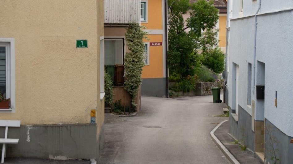 Wanderung Salbergtour - Touren-Impression #2.3 | © TV Gesäuse