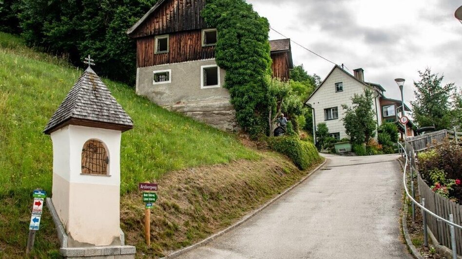 Wanderung Salbergtour - Touren-Impression #2.5 | © TV Gesäuse