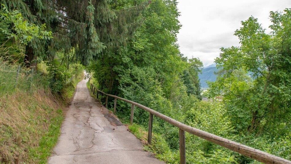 Wanderung Salbergtour - Touren-Impression #2.6 | © TV Gesäuse