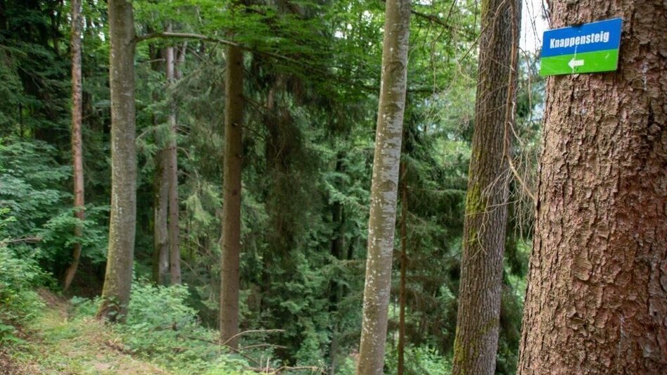 Wanderung Salbergtour - Touren-Impression #2.7 | © TV Gesäuse