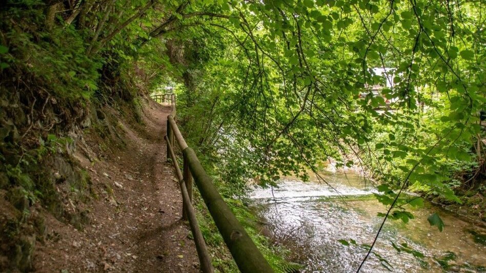 Wanderung Salbergtour - Touren-Impression #2.11 | © TV Gesäuse