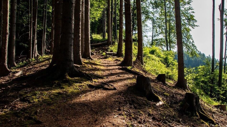 Hiking route Rote Wand Tour - Touren-Impression #2.3 | © TV Gesäuse