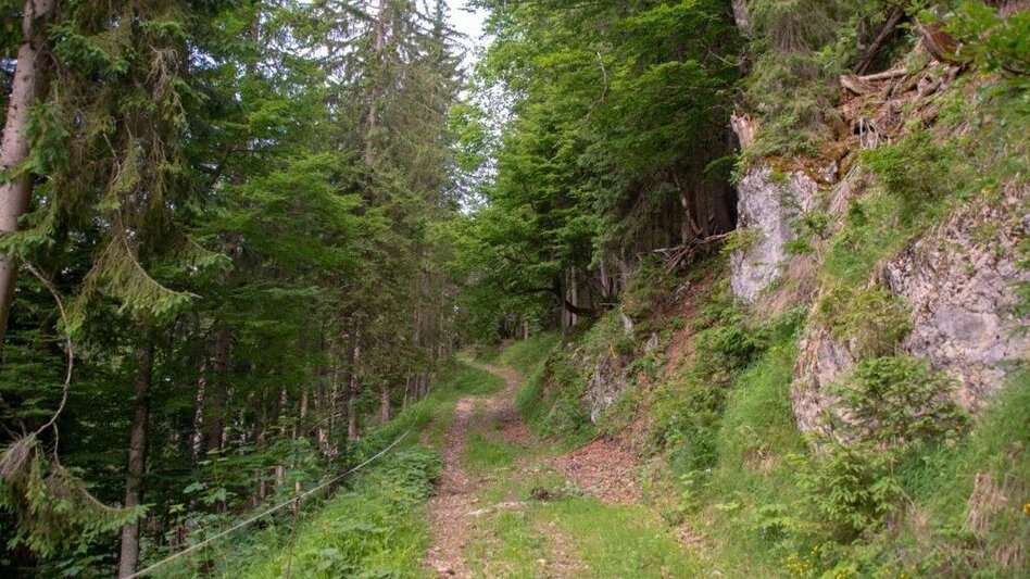 Hiking route Rote Wand Tour - Touren-Impression #2.4 | © TV Gesäuse