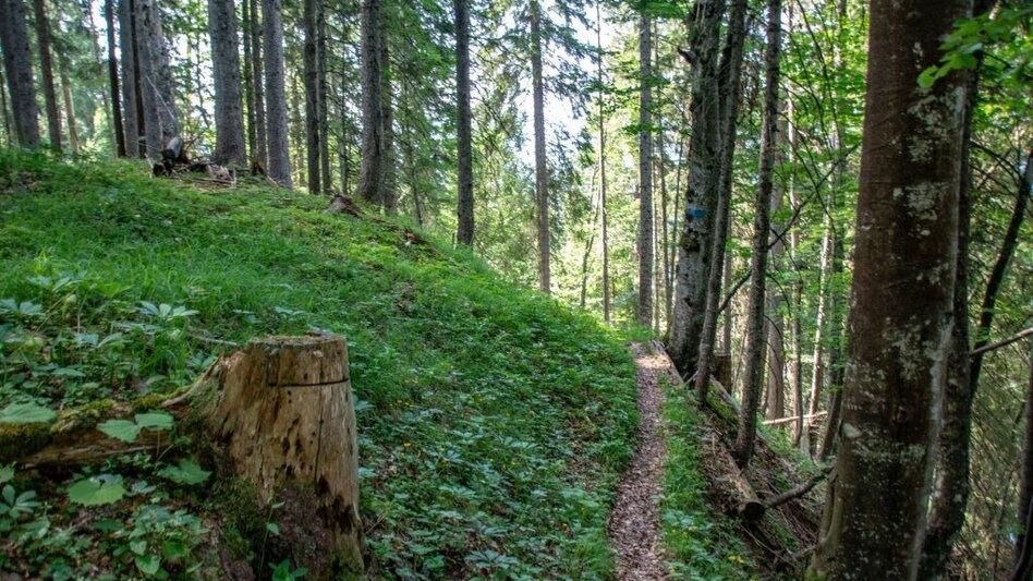 Hiking route Rote Wand Tour - Touren-Impression #2.5 | © TV Gesäuse