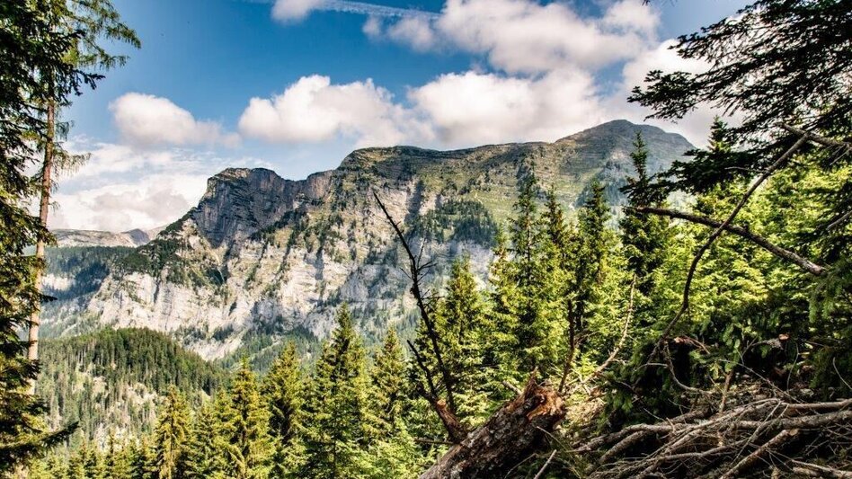 Hiking route Rote Wand Tour - Touren-Impression #2.7 | © TV Gesäuse