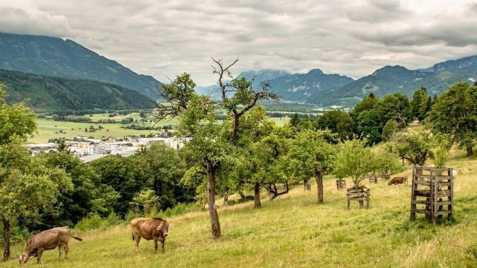 Hiking route Hinteregger Tour - Touren-Impression #2.3 | © TV Gesäuse