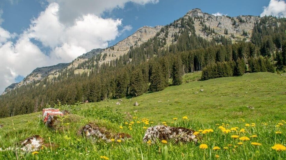 Hiking route Hinteregger Tour - Touren-Impression #2.11 | © TV Gesäuse
