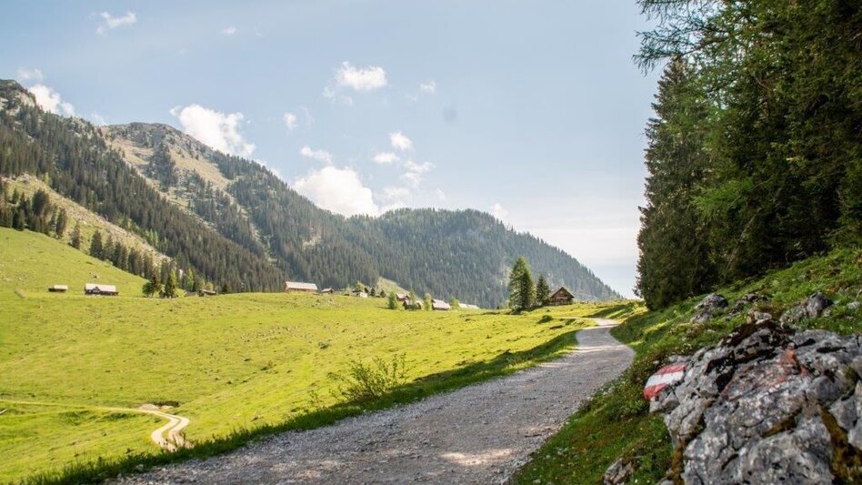 Mountain Hike Nazogel und Angerkogel - Touren-Impression #2.3 | © TV Gesäuse