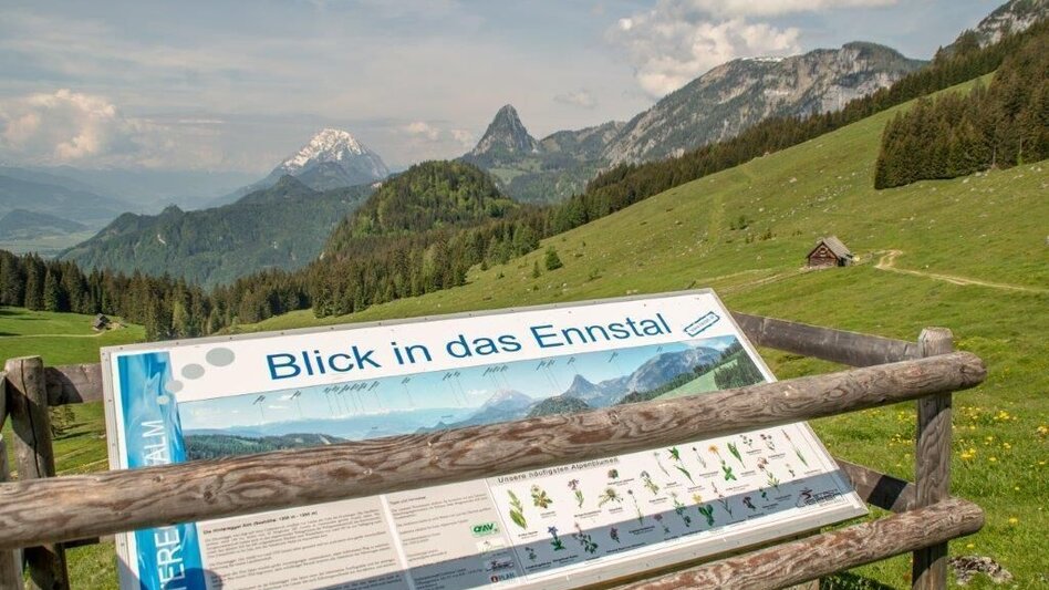 Mountain Hike Nazogel und Angerkogel - Touren-Impression #2.5 | © TV Gesäuse