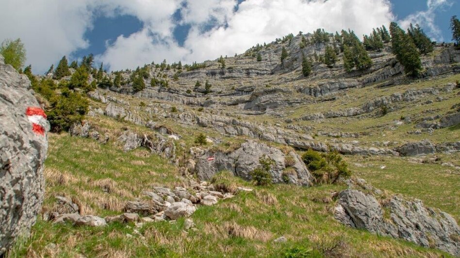 Mountain Hike Nazogel und Angerkogel - Touren-Impression #2.8 | © TV Gesäuse