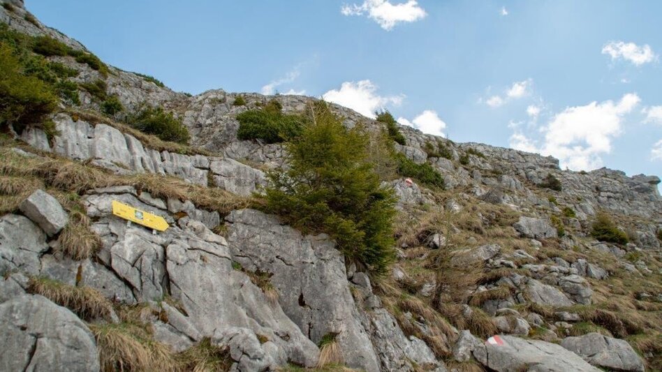 Mountain Hike Nazogel und Angerkogel - Touren-Impression #2.9 | © TV Gesäuse