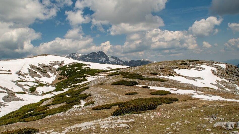Mountain Hike Nazogel und Angerkogel - Touren-Impression #2.11 | © TV Gesäuse